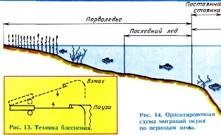 Ловля окуня зимой.